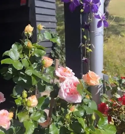 Holiday home Denmark's Charming Kalundborg